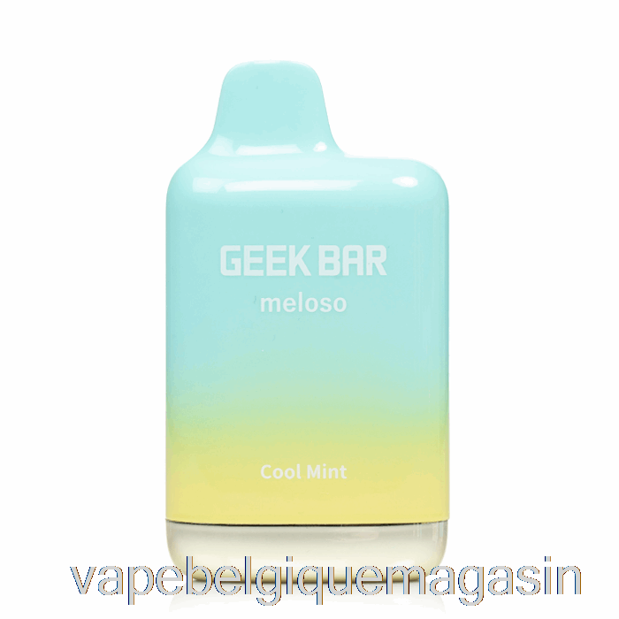Vape Shop Bruxelles Geek Bar Meloso Max 9000 Jetable Menthe Fraîche